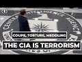 The cia is a terrorist organization