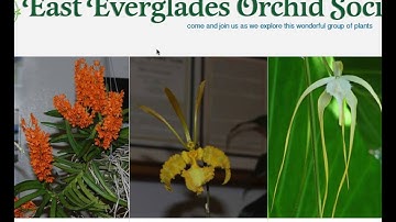 Building SEF Menus in Joomla using JoomSEF