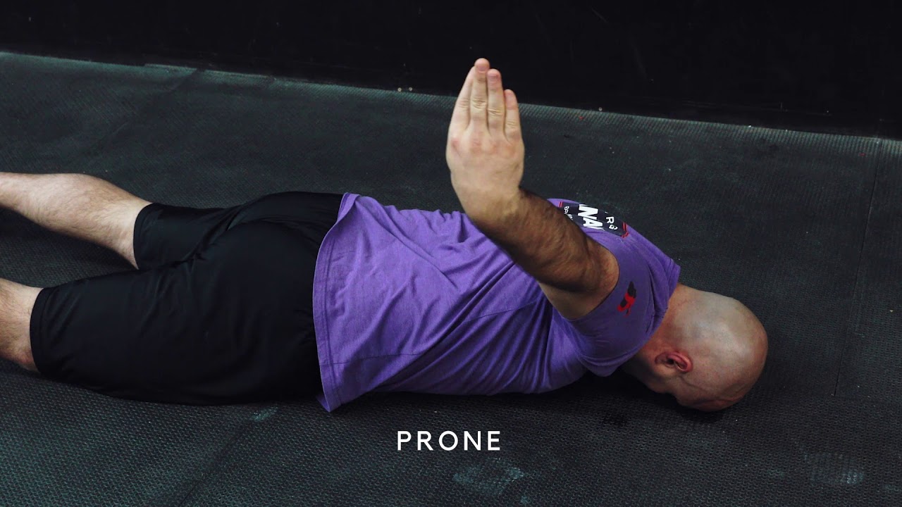 Unilateral Shoulder Rotation from Multiple Positions: Joint Rotations ...