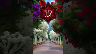 #alahazratkalambyowaisrazaqadri #makkahalmukarrom Allah🕋 Islamic video Makka Madina🕋🕋❤️❤️🤲🤲☝️❤️‍🩹🥰☝️