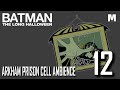 BATMAN: THE LONG HALLOWEEN 12 - Arkham | Calendar Man | Prison Cell Ambience |