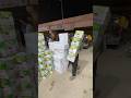 ACDC fan wholesale market #acdc #acdcfan #Fanwholesalemarket #foryou #fan #foryou #viralvideo#Short