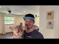 Beginning of video