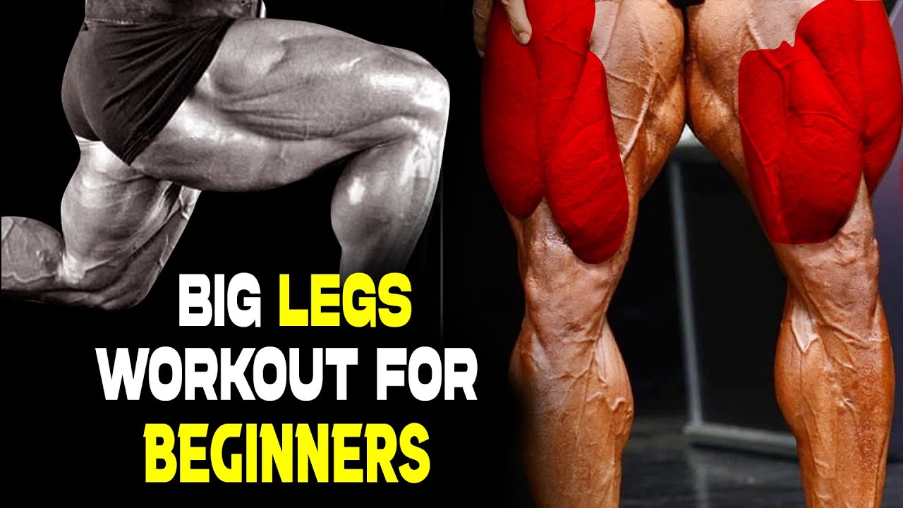 BIG LEGS WORKOUT for BEGINNERS || #legs #legsday #health - YouTube