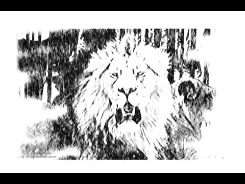 Carnival of the Animals - Introduction & Lion
