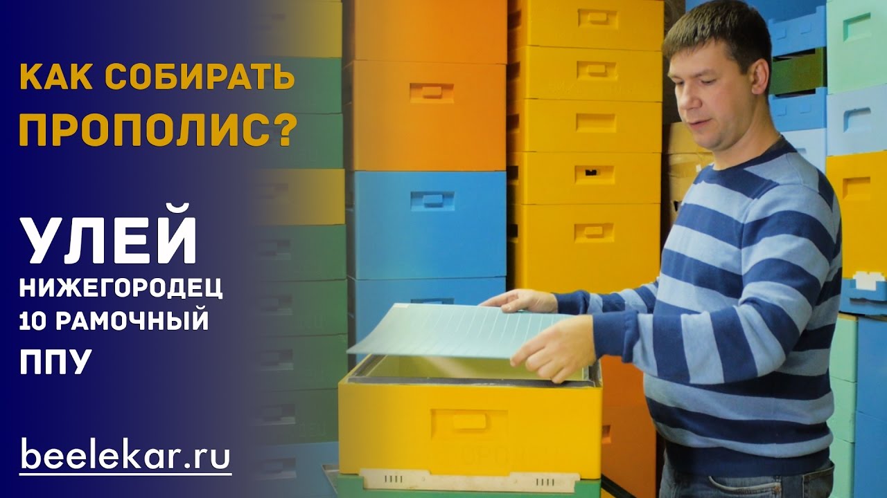 Сбор прополиса 10 рамочный улей ППУ Нижегородец - YouTube