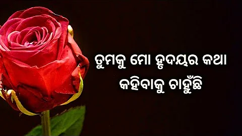 feeling love |  Love Shayari  | Romantic Shayari  | Odia Love Shayari | love quotes | love poems |