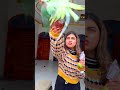😂तोता पैसे चुरा के लाया😲#video #parrotlover 😂#training #comedy #dosti #parrot ❤️#training #pigeon