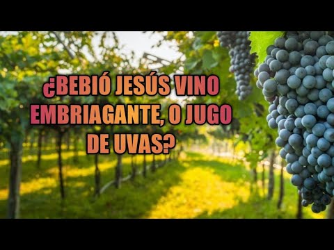 Video: ¿Jesús bebió alcohol?