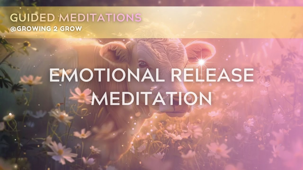 20 Minute Guided Meditation for Anxiety and Nervous System Regulation (Cow Spirit)