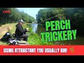 Perch trickery  instant perch attraction