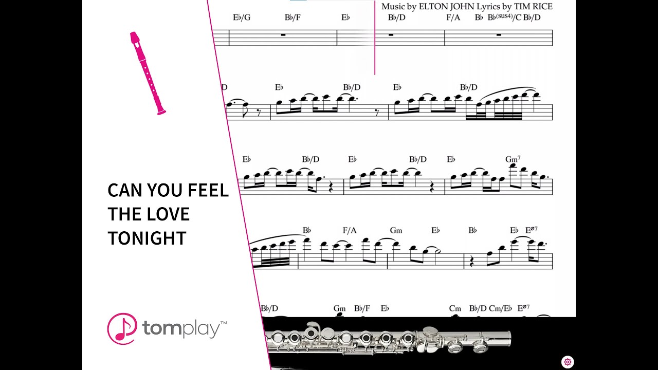 Can you feel the love tonight by Elton John for Flute 🎹