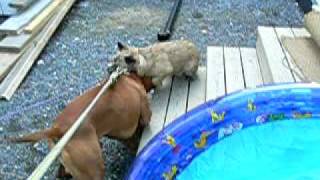 Santoz And Emma Meets