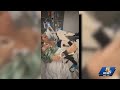 Sharonville mom raising money for UC Health's ICU patient program after she nearly died