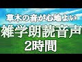 【睡眠用】草木のさざめき🌳ヒーリング音楽と眠る💤ゆったり眠れる雑学朗読２時間【木々の音&癒しのBGM付き（途中広告なし）】
