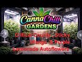 Auto Tent update( 4x2 ) Ft. Critical County auto , Purple Lemonade Auto & STICKY MANGO