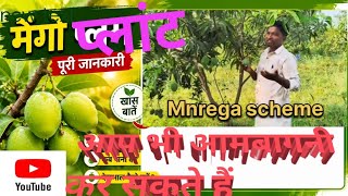 Mnrega Aambagwani suru kore#how#mnrega#farming 