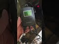 This Keeps Reptile Temps PERFECT (Even When You’re Not Home)