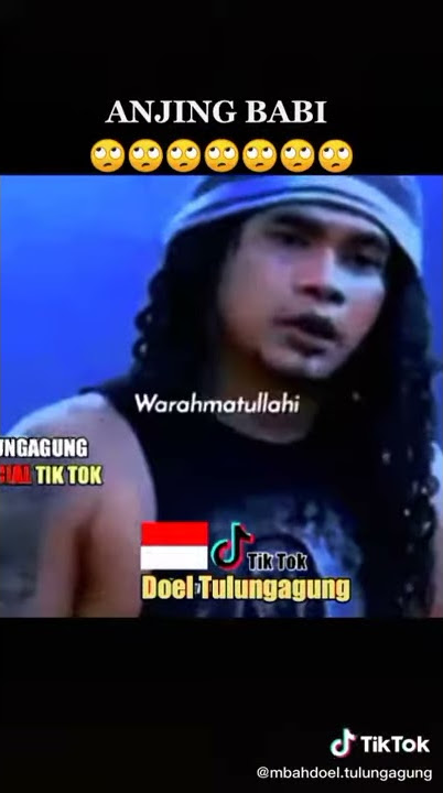 ibu bapak anjing babi itu haram