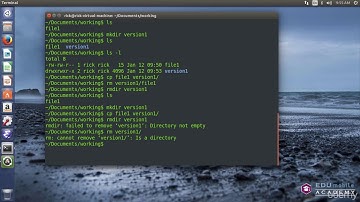 Removing Non Empty Directories