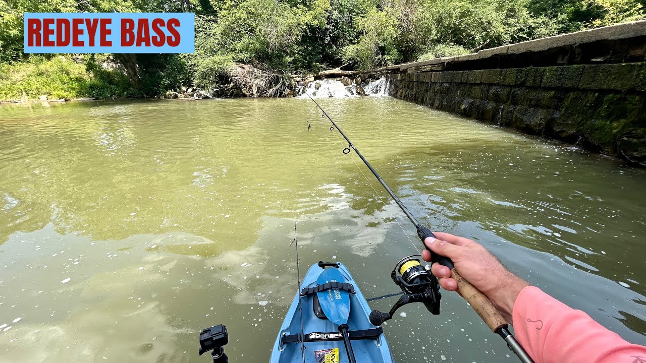 Red Eye Bass   Georgia Bass Slam 2023