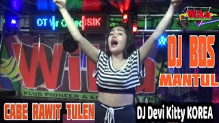 CABE RAWIT TULEN DJ DEVI KITTY KOREA WIKA SANG PENJELAJAH SUMSEL