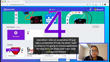 How to use MakeCode Streamer