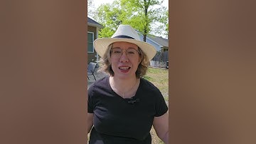 Website organization with categories and tags