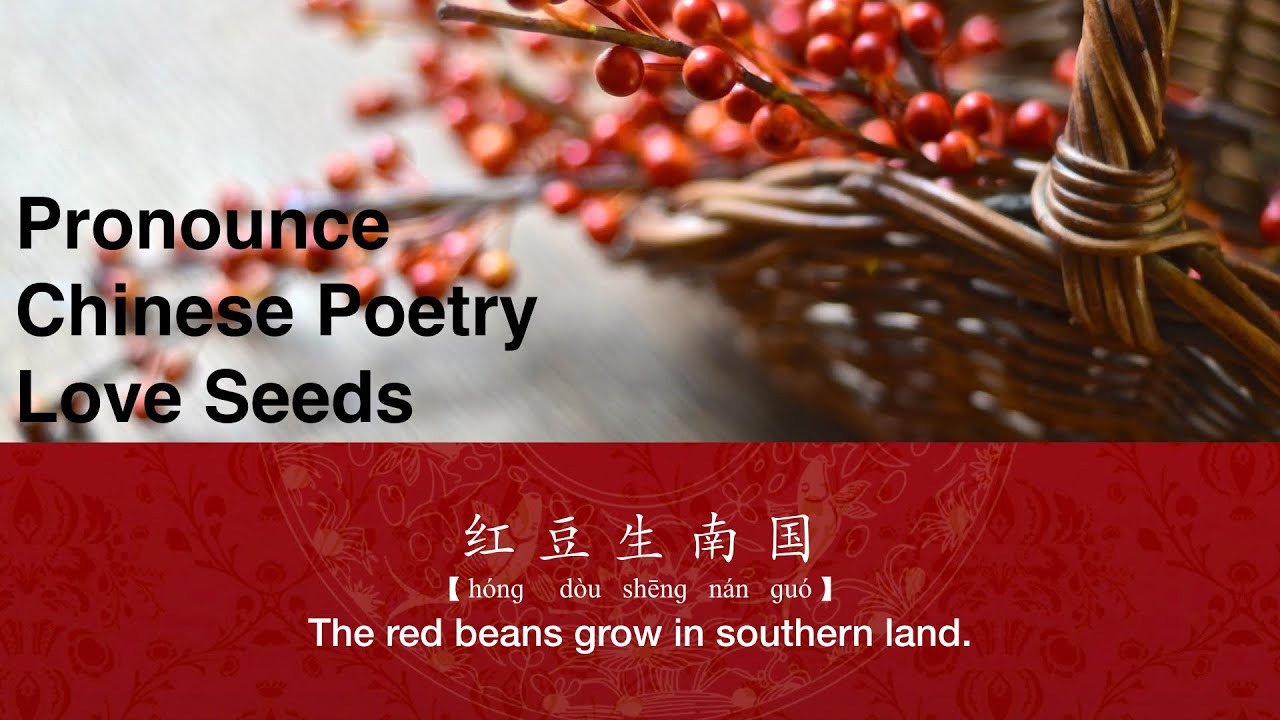 How to Pronounce a Chinese Poem Love Seeds Red Beans 唐诗 相思 红豆 王维 Read