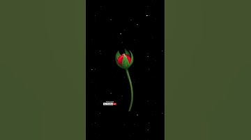 #Z Letter Name Status❤️||Name art Video😍||Whatsapp status💘||2022  #ms_creation243