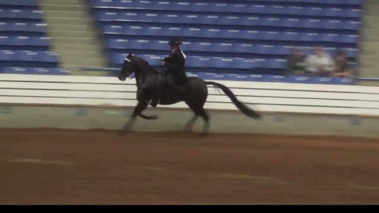 137  Speed, Open Shod Stake