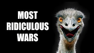 Most Ridiculous Wars EVER FOUGHT