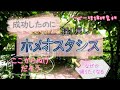 HTL ②💰自分を好きになり信頼できる魔法の言葉。成功体験の後、不安と恐怖がやってくる。