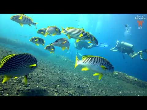 Atlantis Bali Diving