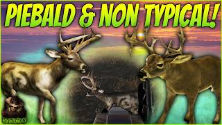 We Hunted Trophy Sized Piebald & Non Typical Bucks In This ULTRA REALISTIC Hunting Game! screenshot 5