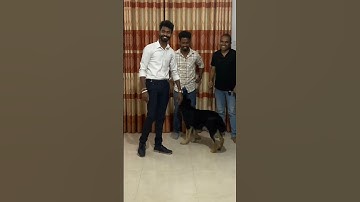 Surprise නම් Surprise කවුද හිතුවේ  මම රෑ 12 ට ගෙදර එනකොට ලංකාවේ වටේ හිටපු ළමයි ටිකක් ඇවිත් ඉඳී කියලා