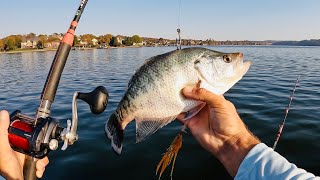 UNBELIEVABLE!!! Catfish Engulfed by ENORMOUS Flathead