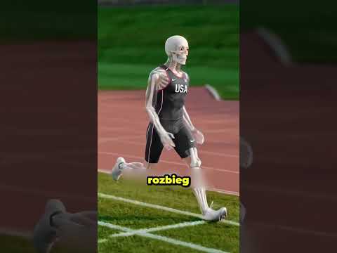 Kto wygrałby w igrzyskach olimpijskich teraźniejszy atleta czy atleta z starożytnej Grecji thumbnail