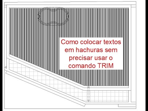 Como inserir textos
