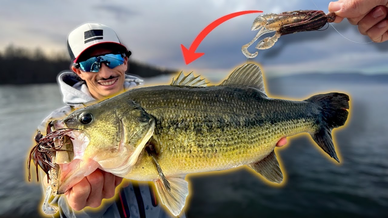 PESCA ai GROSSI Bass del Lago di Bolsena – BASS FISHING in INVERO 🤯🎣 (4k)