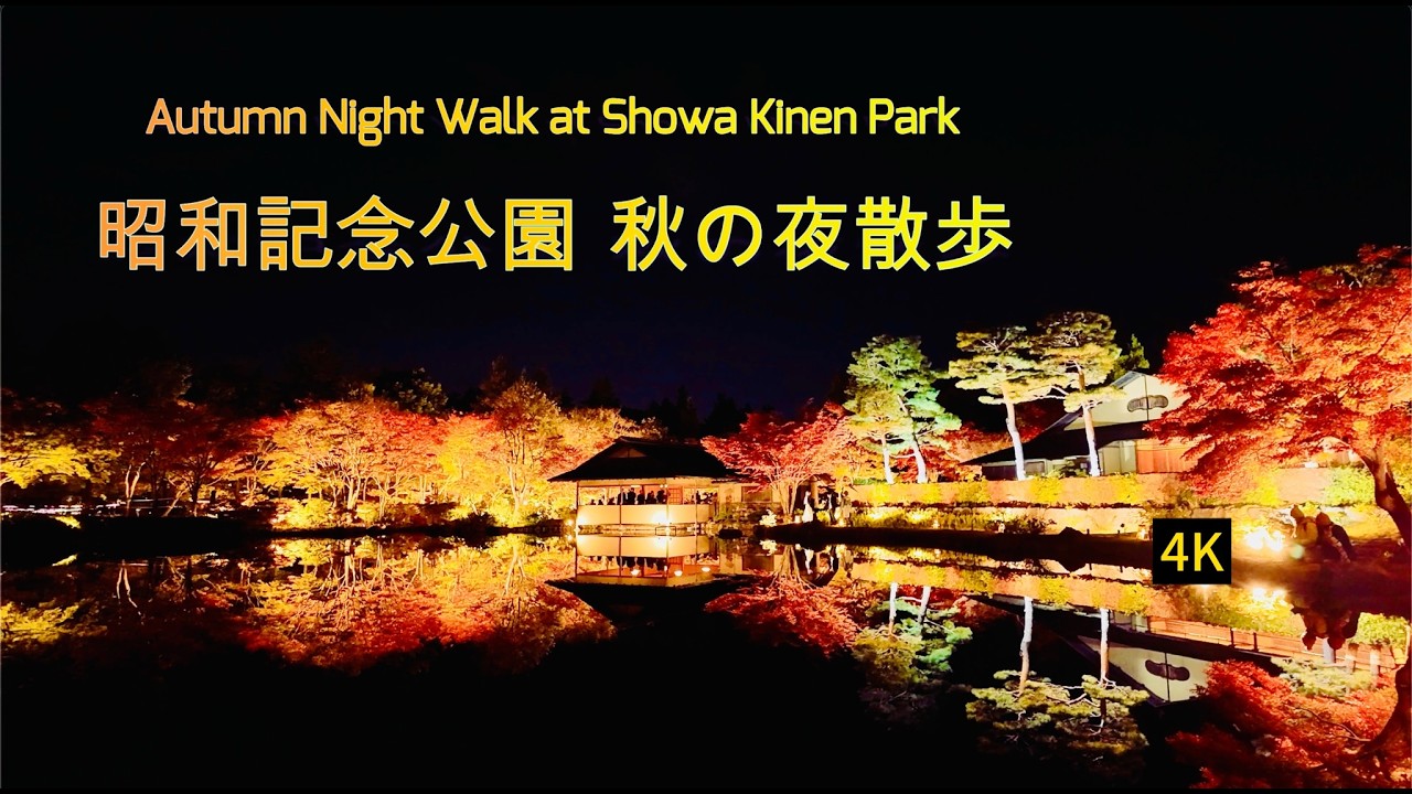 [4K]  Освещение японского сада в мемориальном парке Сёва | Время, окутанное тихим светом