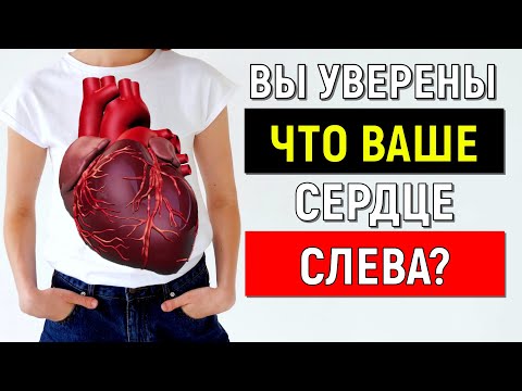 ГДЕ НАХОДИТСЯ СЕРДЦЕ  У ЧЕЛОВЕКА? ОТДЫХАЕТ ЛИ ВАШЕ СЕРДЦЕ ИЛИ НА ИЗНОС?