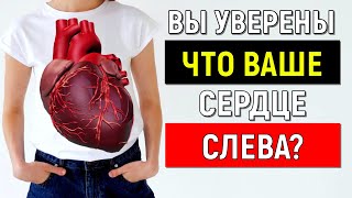 ГДЕ НАХОДИТСЯ СЕРДЦЕ  У ЧЕЛОВЕКА? ОТДЫХАЕТ ЛИ ВАШЕ СЕРДЦЕ ИЛИ НА ИЗНОС?