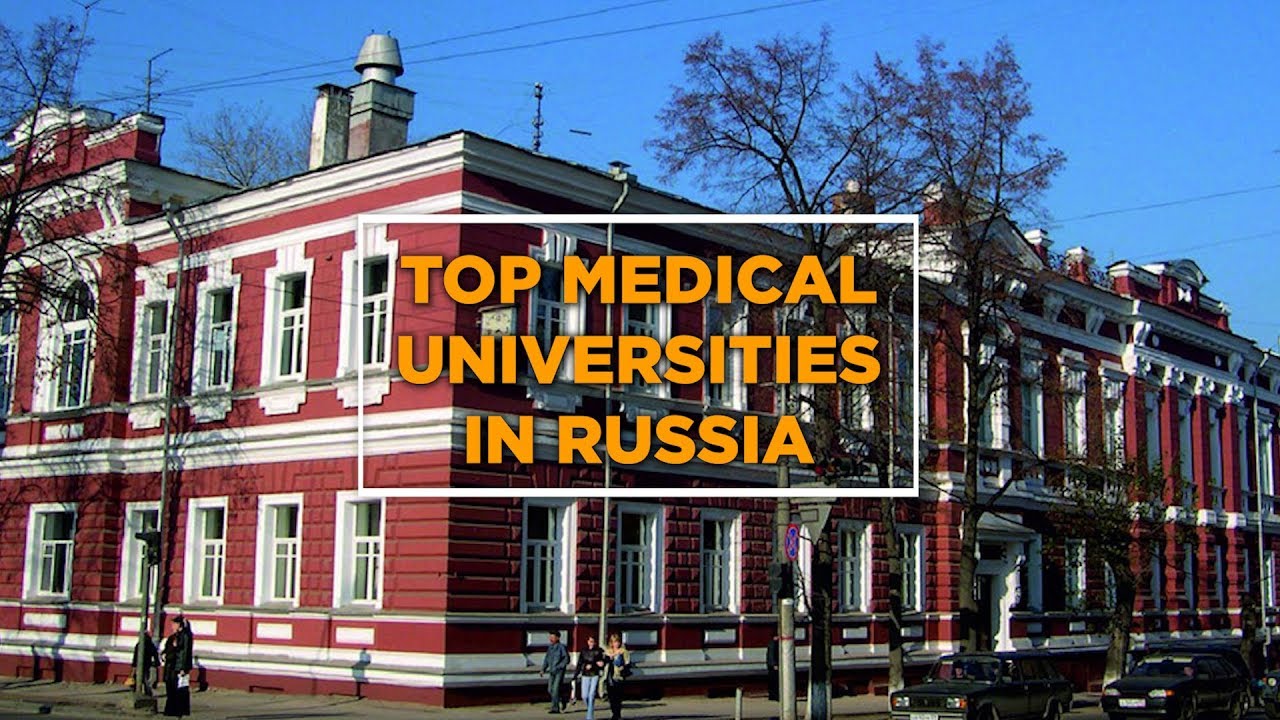 phd in law russia