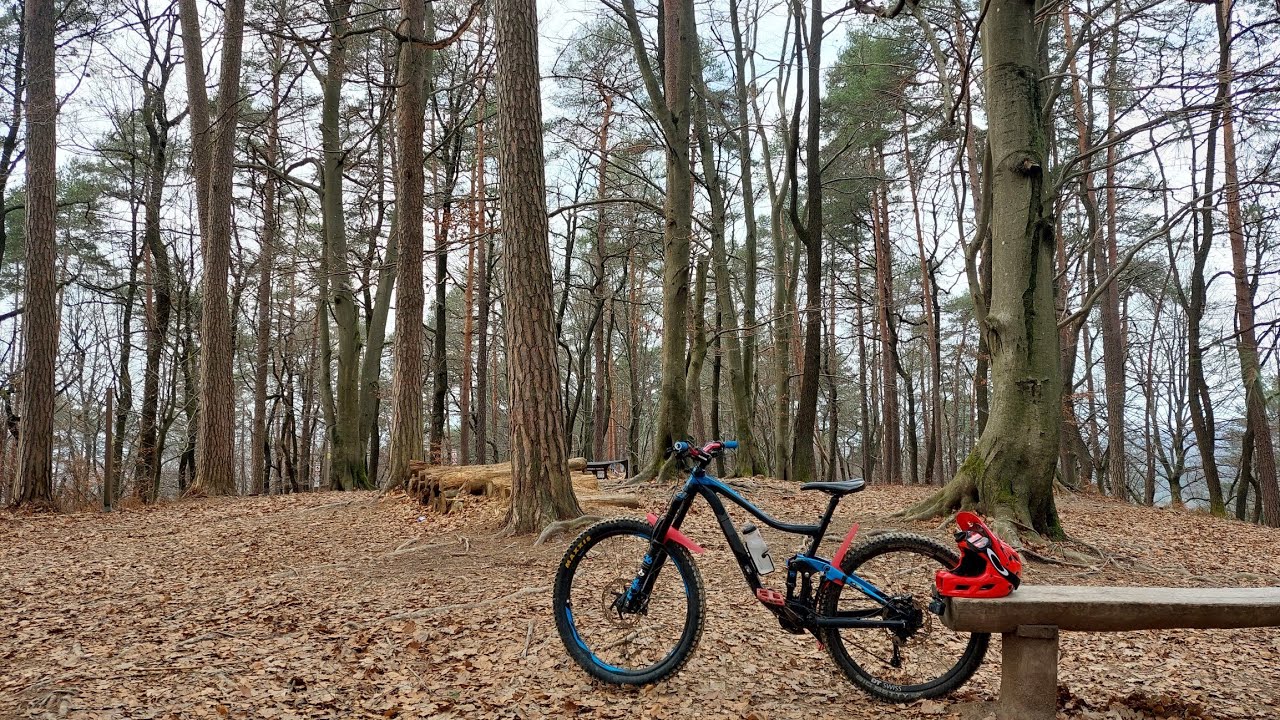 Golovec (prenovljen)