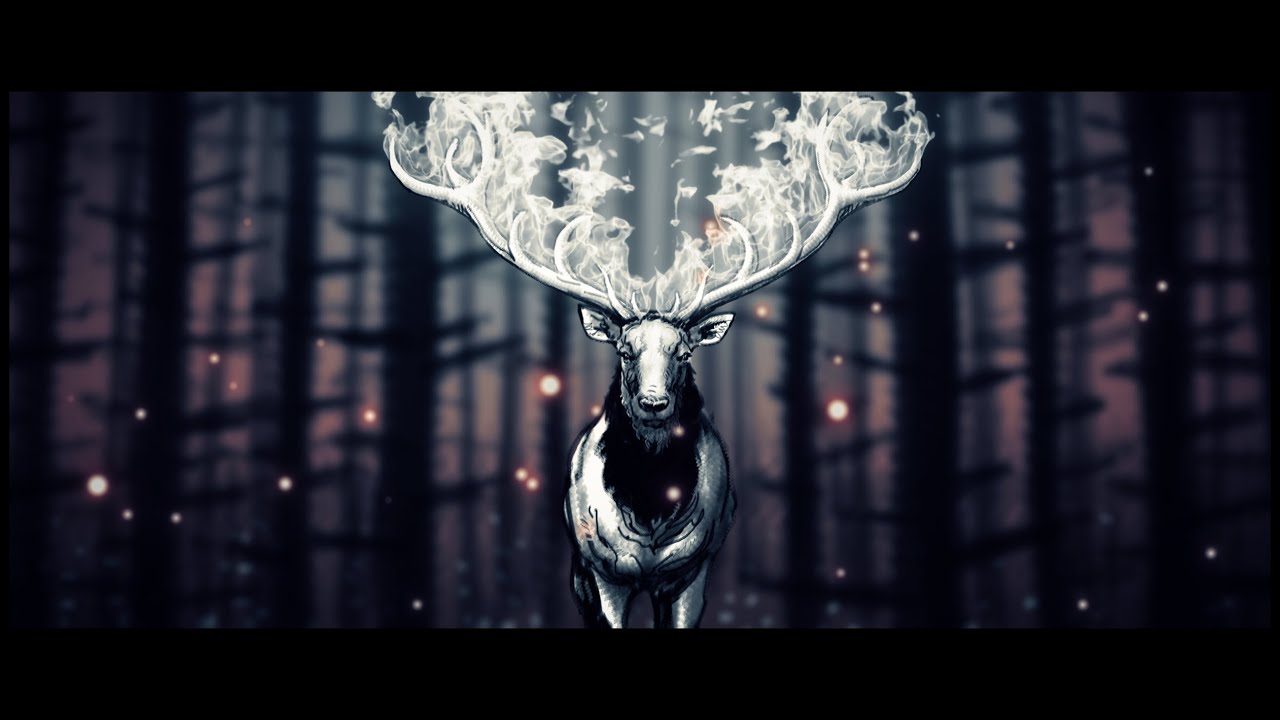 Loo & Monetti - Sorry [Official video]