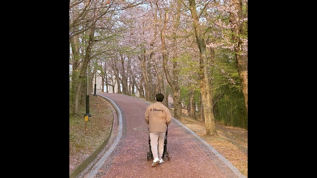 경주여행 4 (ft. 벚꽃길따라 아침밥편)