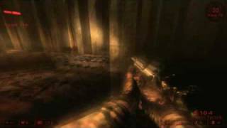 Killing Floor - Shade Specimen Test