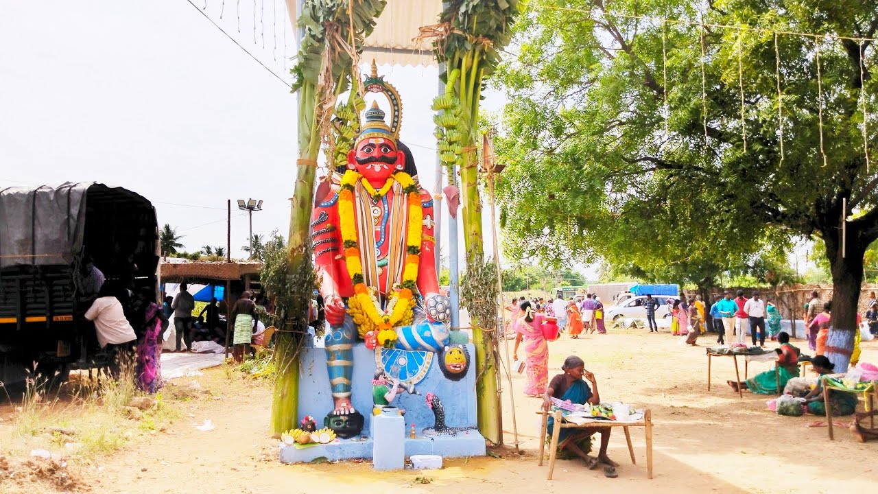 அருள்மிகு சந்தன கருப்பராயன் திருக்கோயில், நம்பியூர் - பொங்கல் திருவிழா