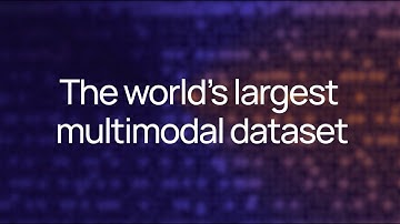 E-MM1: The World’s LargestMultimodal AI Dataset